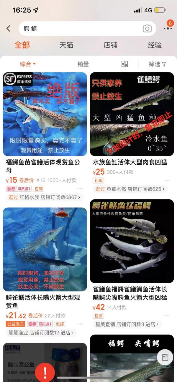 鳄雀鳝被部分网店换名“雀鳝鳄” 最高售价300元