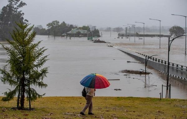 受暴雨影响 澳大利亚居民自家泳池频现毒蜘蛛 