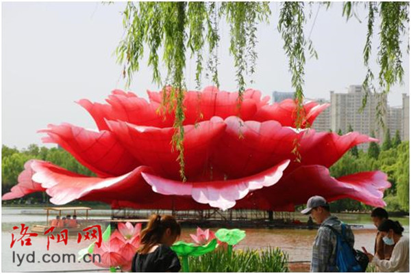 36米巨型“牡丹”亮相洛阳 吸引游客纷纷围观、打卡