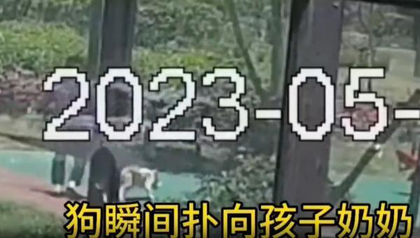 6岁男孩被打成脑震荡后续：打人者已被采取刑事强制措施