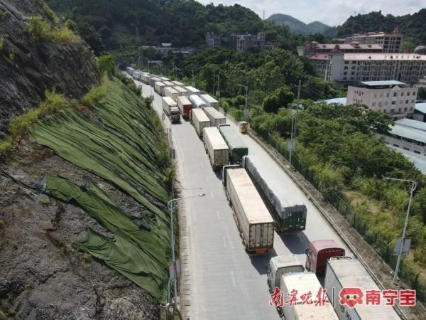 745吨越南鲜榴莲入境分发运往各地，榴莲爱好者有口福了！