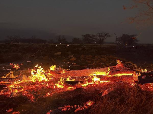 夏威夷山火致多人死亡，就像世界末日一样！