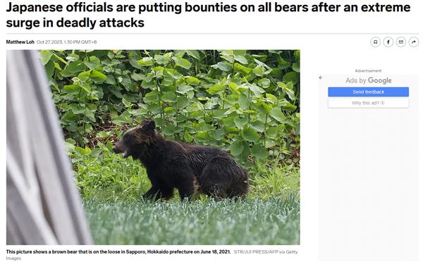 日本又现熊吃人事件!一棕熊尸体内发现人体残骸:系登山大学生