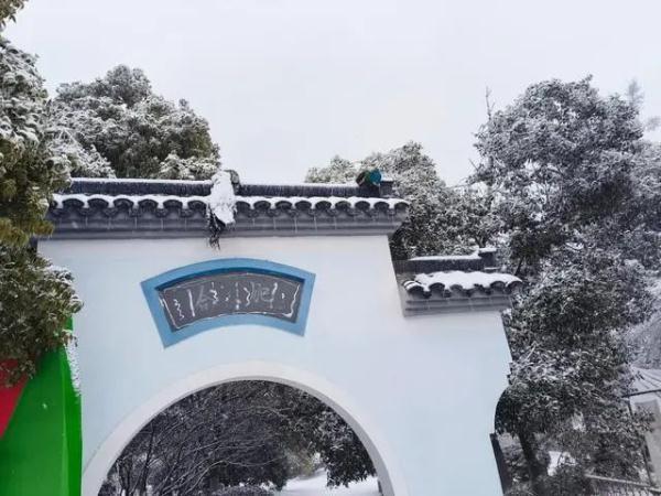 武汉暴雪两只孔雀被冻在墙顶 景区回应：贪玩看雪景