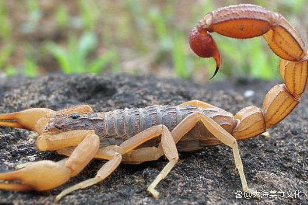 1:打小人正月十七打小人,俗称也叫"踩小人",在古代"小人"被认为是祸事