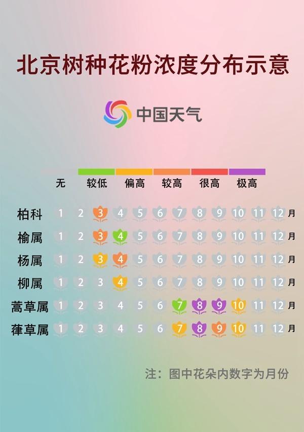 你對花粉過敏嗎 春季防護需知