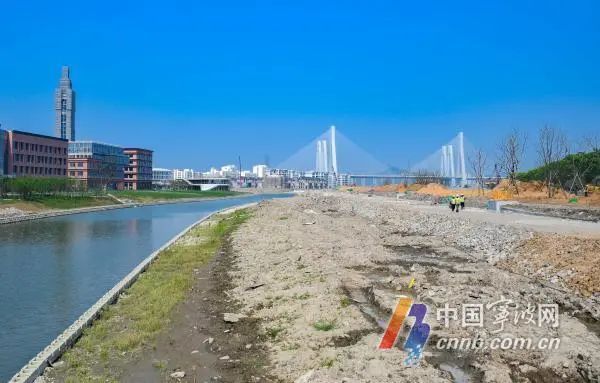 位于東方理工大學附近 沿江路計劃今年8月基本建成 工程全速推進中