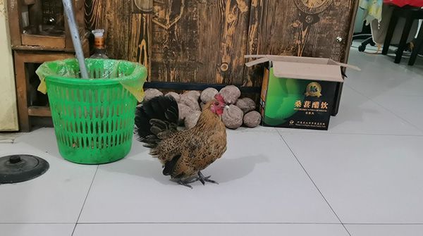 蒙冤入獄11年獲國賠當(dāng)事人去世 被迫9次認(rèn)罪終得昭雪！