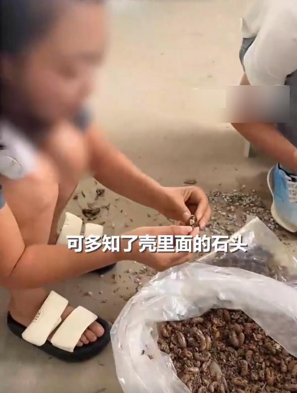 女子称高价收购老人知了壳，却被大量塞石子，“10个壳里面8个都有石子”
