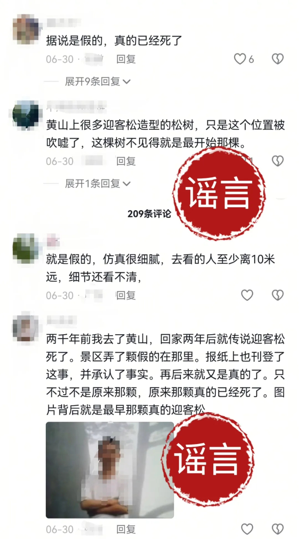 迎客松：有人說(shuō)我是“假松”？我真的累了