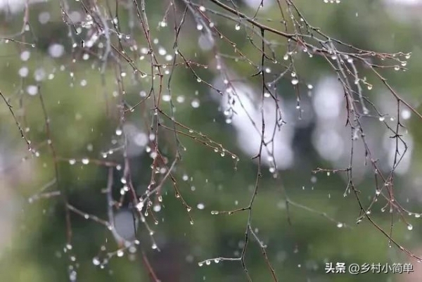“雨水停不停,就看八月廿一”,农谚怎么说
