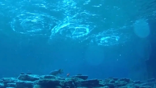 趵突泉“水涌若輪”是靠水泵？專家辟謠，央視揭秘