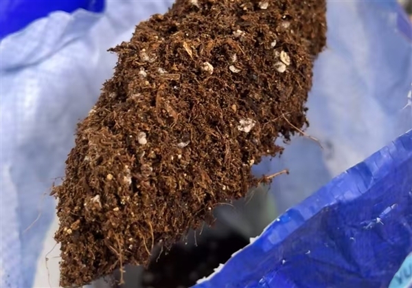 阳台种菜9种重金属超标 网销百万的“营养土”竟是建筑垃圾