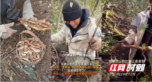 中医药成荒野求生“制胜法宝” 湖湘智慧闪耀赛场