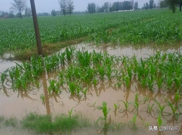 我國科學(xué)家重要發(fā)現(xiàn)或顛覆經(jīng)典理論！海洋里竟然藏著一個(gè)瞞了全人類近百年的