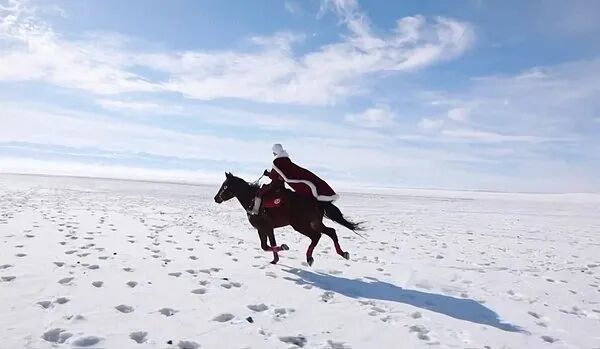 贺娇龙诠释了网红干部和实干并不矛盾