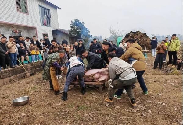 剖析一碗杀猪饭的流量密码 乡土温情与真诚服务共鸣