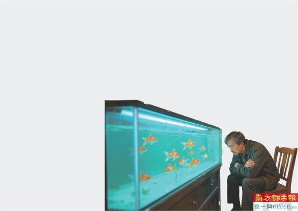 当父母老去“星星的孩子”何以安生 大龄孤独症群体就业与托养难题