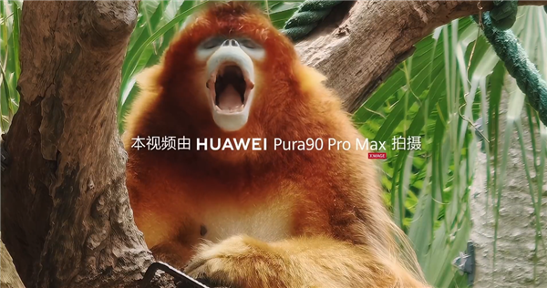 Pura90ProMax超大底2亿长焦 影像旗舰再升级