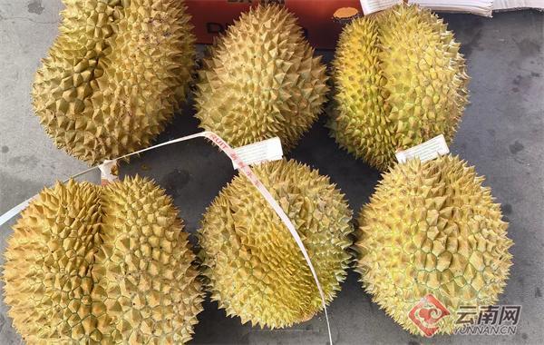 5万吨榴莲来了 中老铁路助力东南亚水果加速进入中国市场