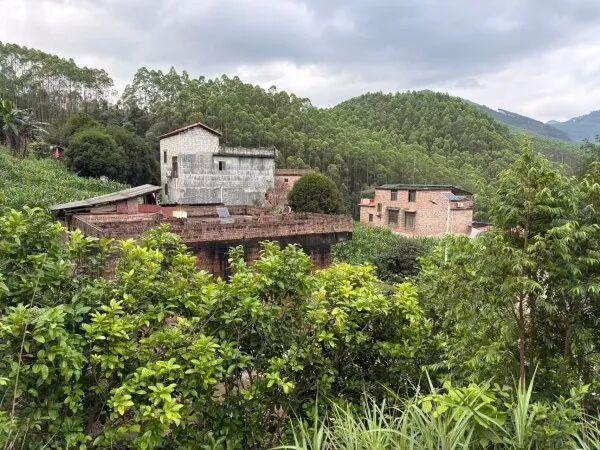 广西皮卡坠河遇难村民家属：嫂子39岁，家里5个孩子，一天能挣160元