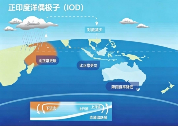 多地气温接连冲破45℃大关，印度人盼降雨缓解酷暑
