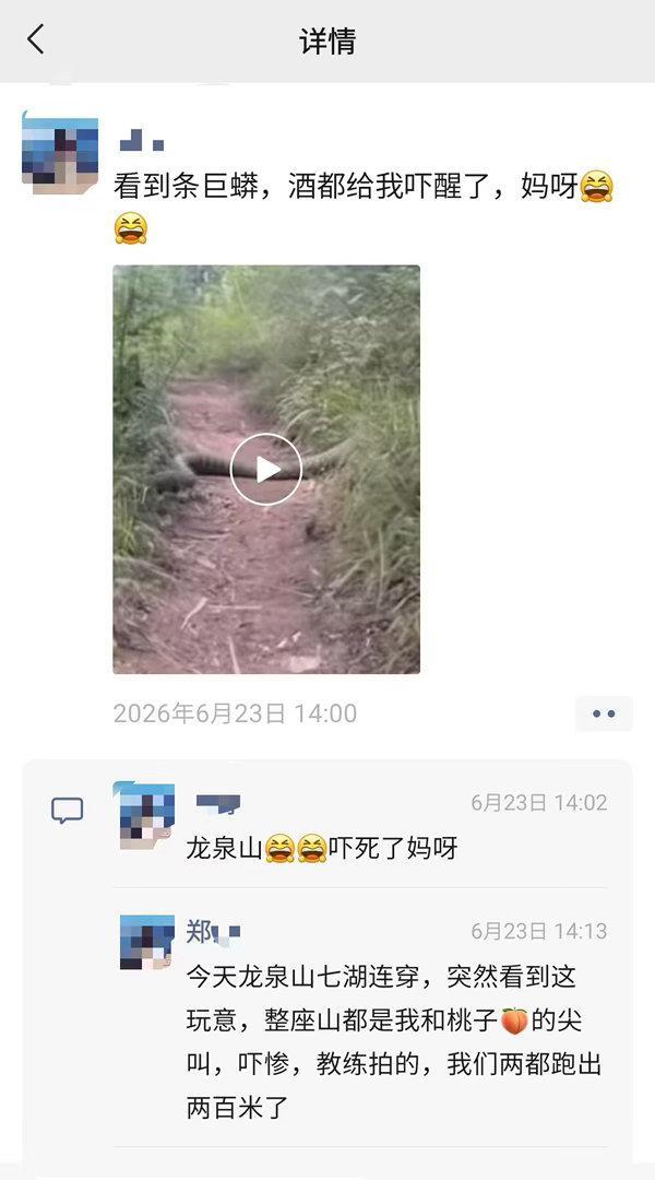 拍摄者回应手臂粗巨蛇视频被指伪造 真伪引发网友热议