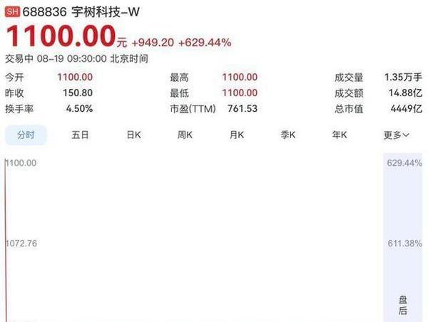 年内最便宜新股，暴涨600% 高估值引发市场热议