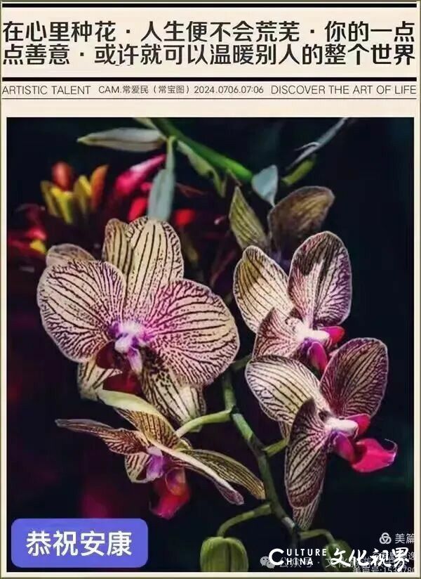 德润文心，情系桑榆——品孙云早《向老而生：桃花源养老机构的故事》