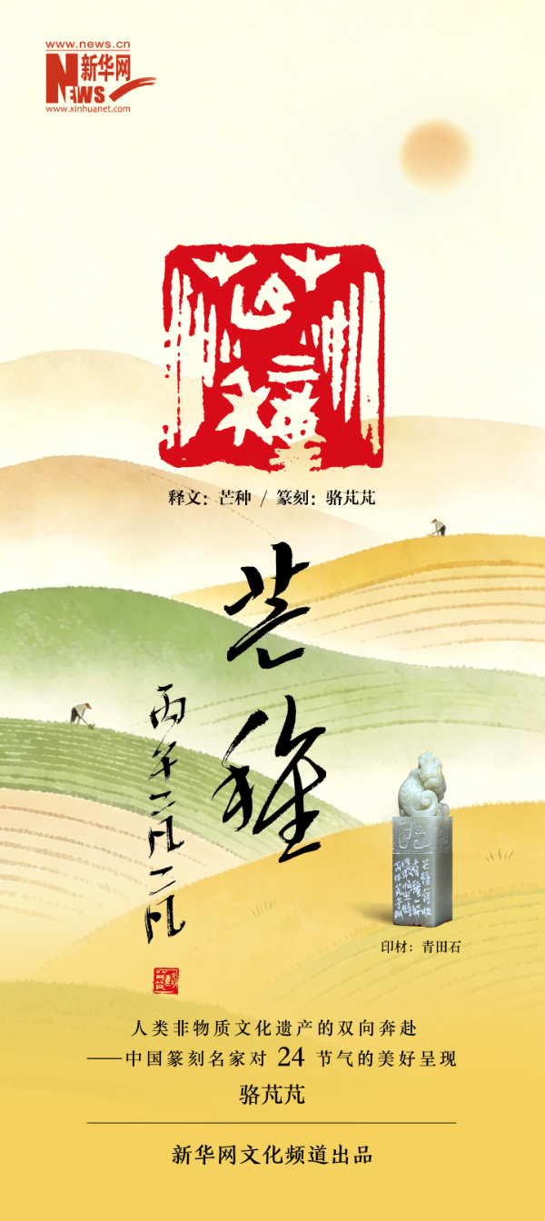 二十四节气 · 芒种 | 骆芃芃篆刻的金石雅韵