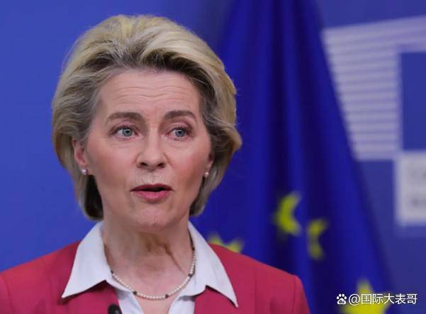 欧洲提出“多国部队”的真相是什么