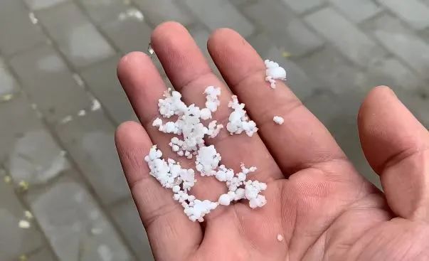 合肥下“米雪”了 细数固态降水阵势
