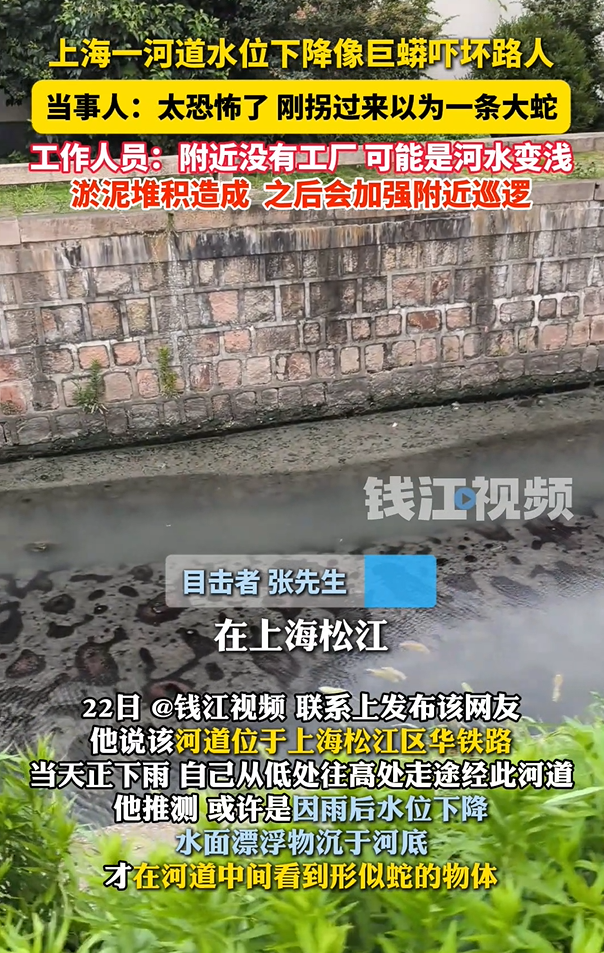 河道水位下降像巨蟒吓坏路人，太恐怖了，刚拐过来以为一条大蛇！