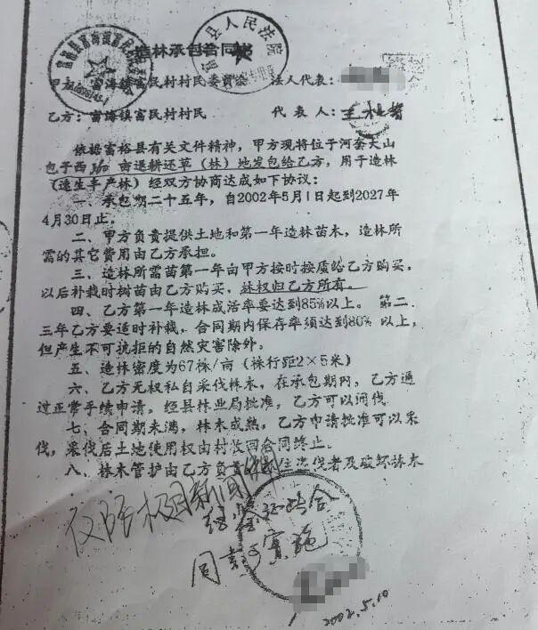 农户响应号召种树 成材后被禁止采伐 二十余载心血付诸东流