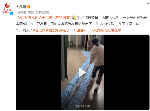 女子为老鼠搭出“高速路”，网友：老鼠做梦也没想到走了ETC通道