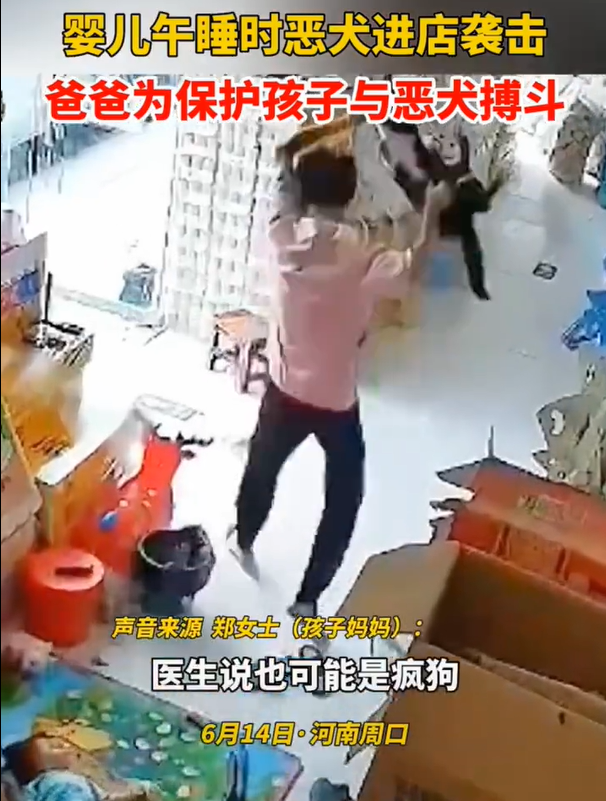 爸爸为保护小孩与狗搏斗 妈妈：孩子没有受伤