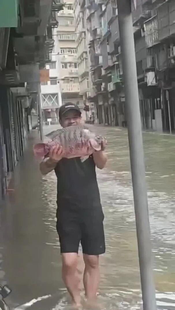 台风致澳门海水倒灌 居民上街抓鱼 超强台风“桦加沙”来袭