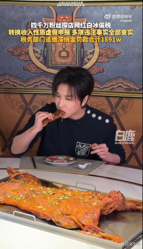 网红白冰驾驶百万级跑车探店 偷税漏税911万