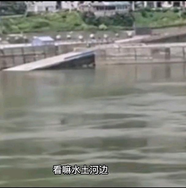 重庆一女子疑因拍视频坠入嘉陵江