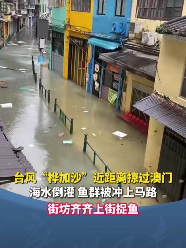 台风致澳门海水倒灌 居民上街抓鱼