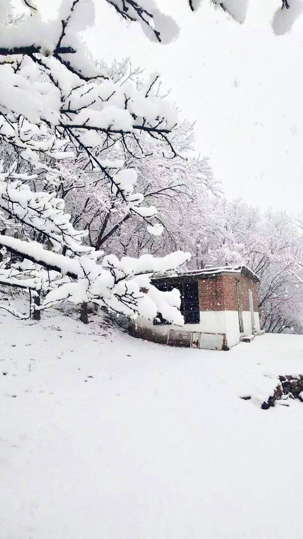 北京竟然下雪了 銀裝素裹美景動(dòng)人