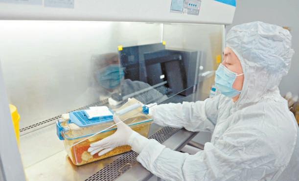 太空归来后鼠妈妈更“护娃”