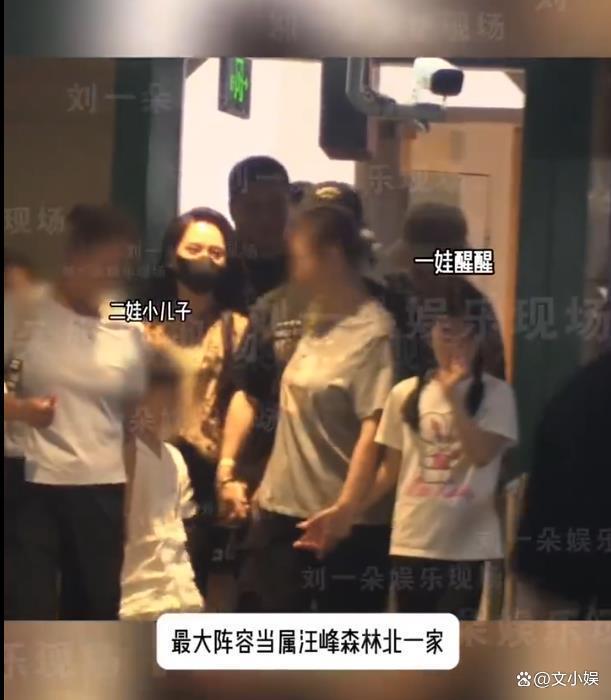 汪峰森林北六一合体带娃 温馨聚餐打破分手传闻
