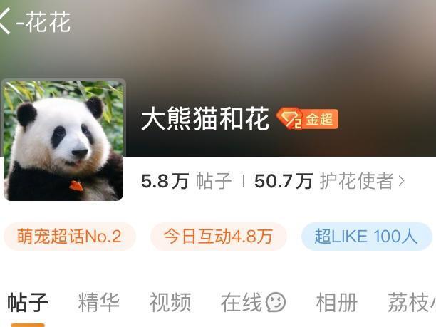 熊猫花花是笨蛋美人吧，还有独一无二无的等边三角形身材
