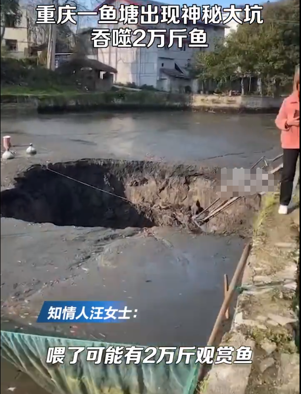 鱼塘突现深坑近2万斤观赏鱼一夜消失 这是地道挖到鱼塘了吗