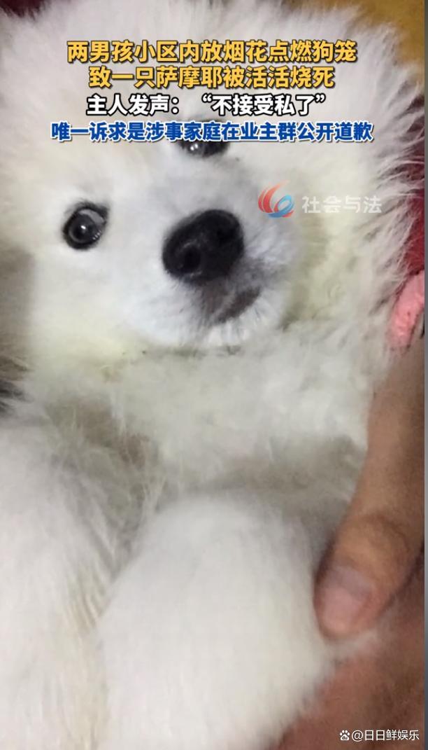 2男孩烧死萨摩耶家长曾提赔1只狗 赔偿协议争议不断