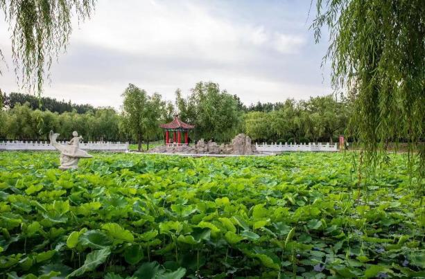 青岛莱西：体验“明星同款”，沉浸式打卡影视拍摄新场景