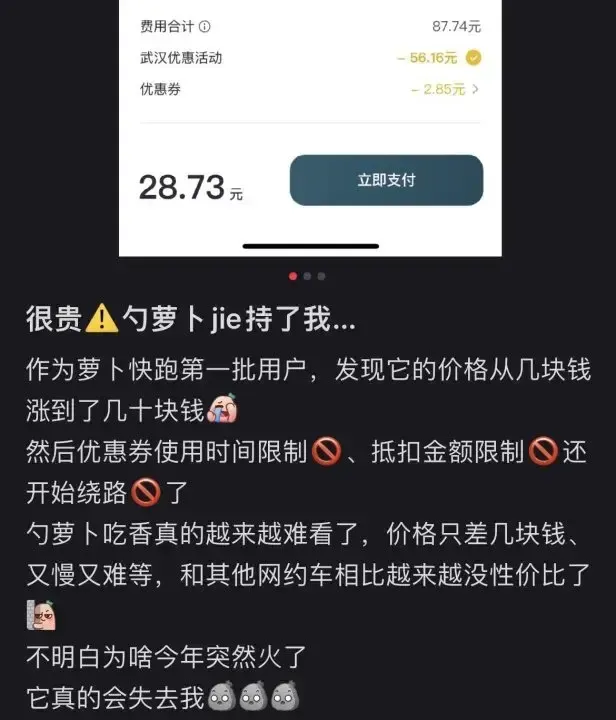 专家：萝卜快跑应该比网约车贵 调价背后的真实成本考量