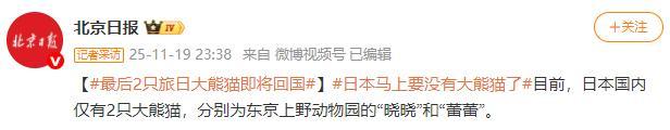 旅日大熊猫晓晓和蕾蕾即将回国 日本将无大熊猫