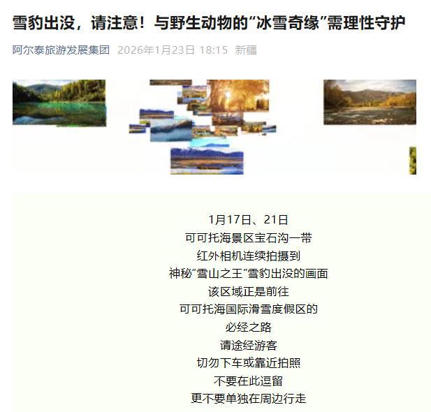 新疆可可托海景区连续拍到雪豹出没 雪友遇袭引关注